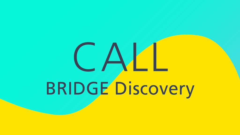 BRIDGE Discovery call for projects