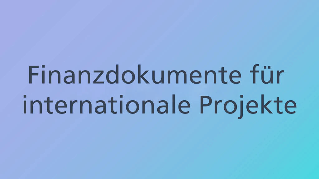Finanzdokumente für internationale Projekte