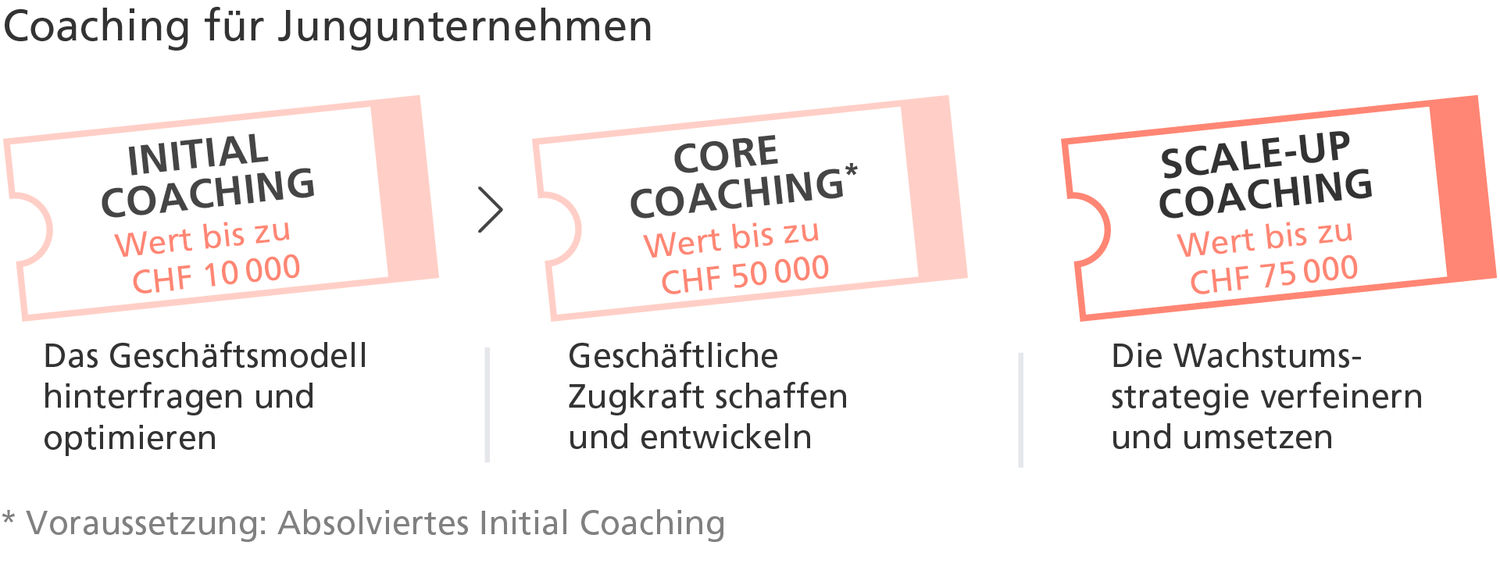 Scale-up Coaching hilft jungen Unternehmen, ihre Wachstumsstrategie zu verfeinern und umzusetzen.