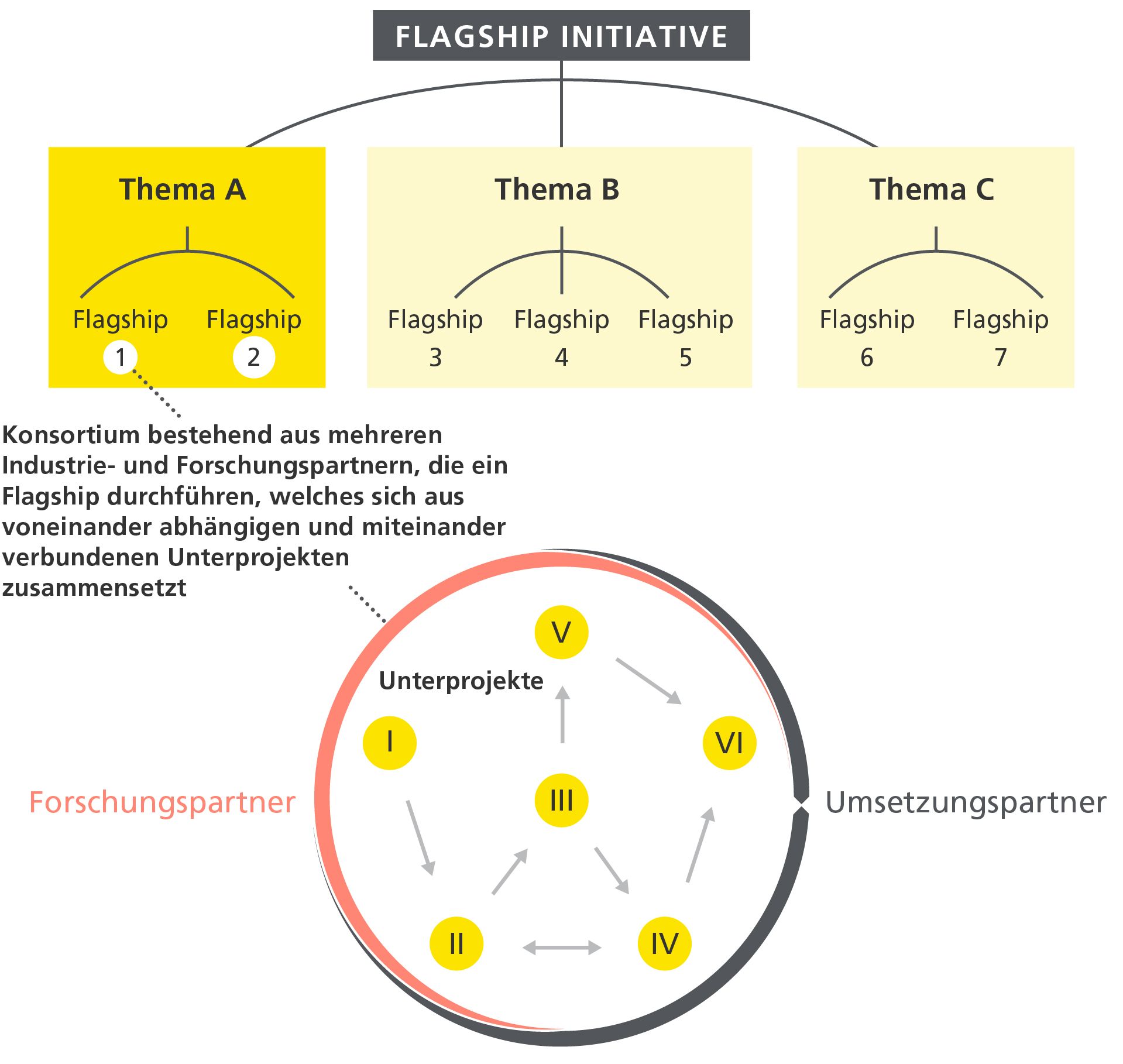 Die Funktionsweise der Flagship Initiative in Bildern