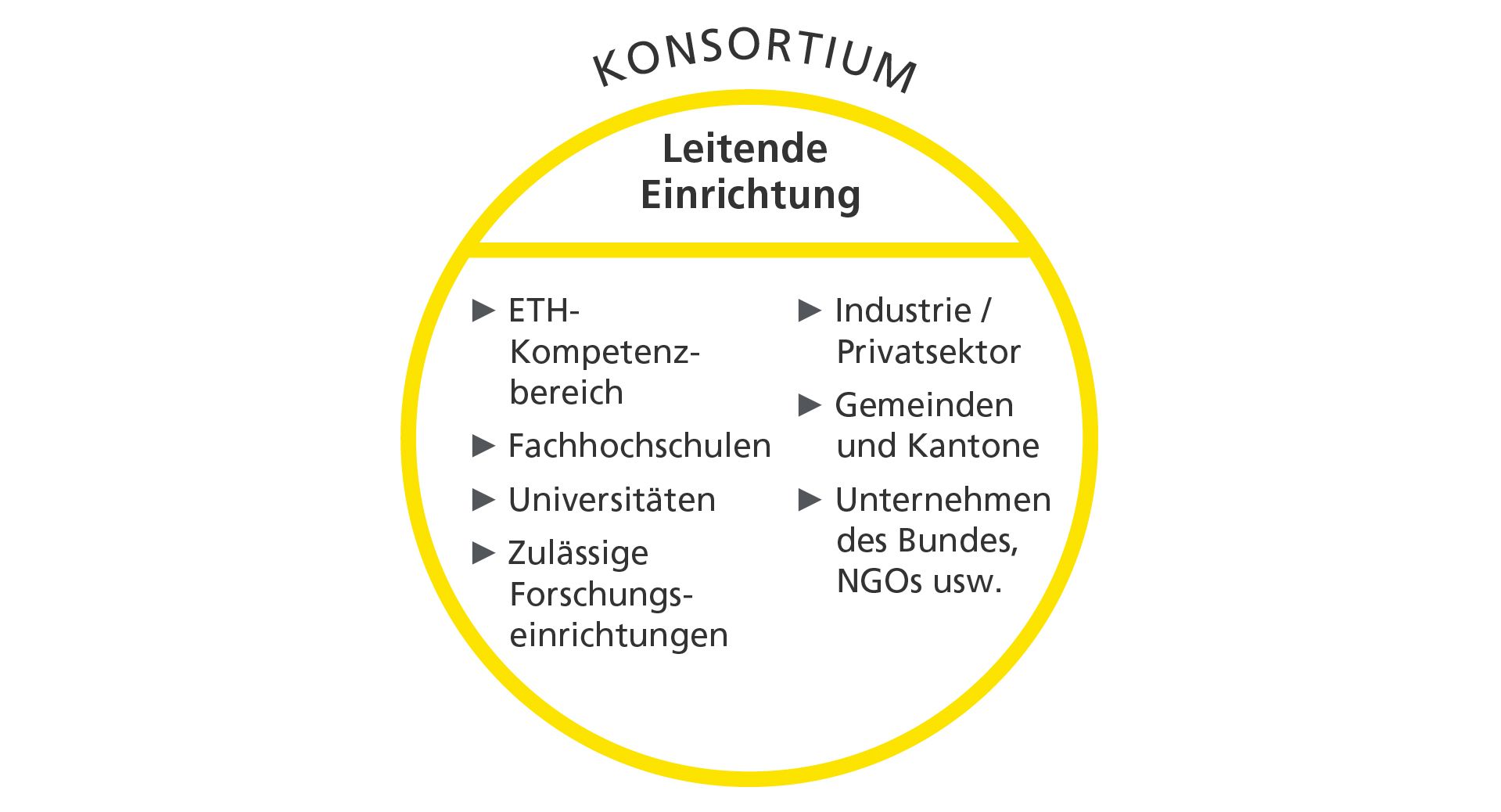 Zusammensetzung eines Konsortiums, das ein Flagship Projekt ausführt