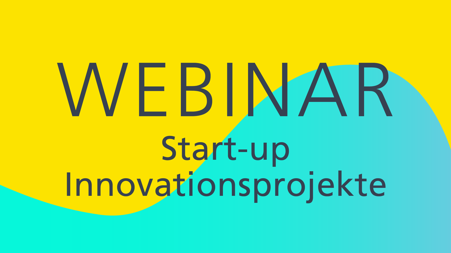 Webinar über die Start-up Innovationsprojekte 