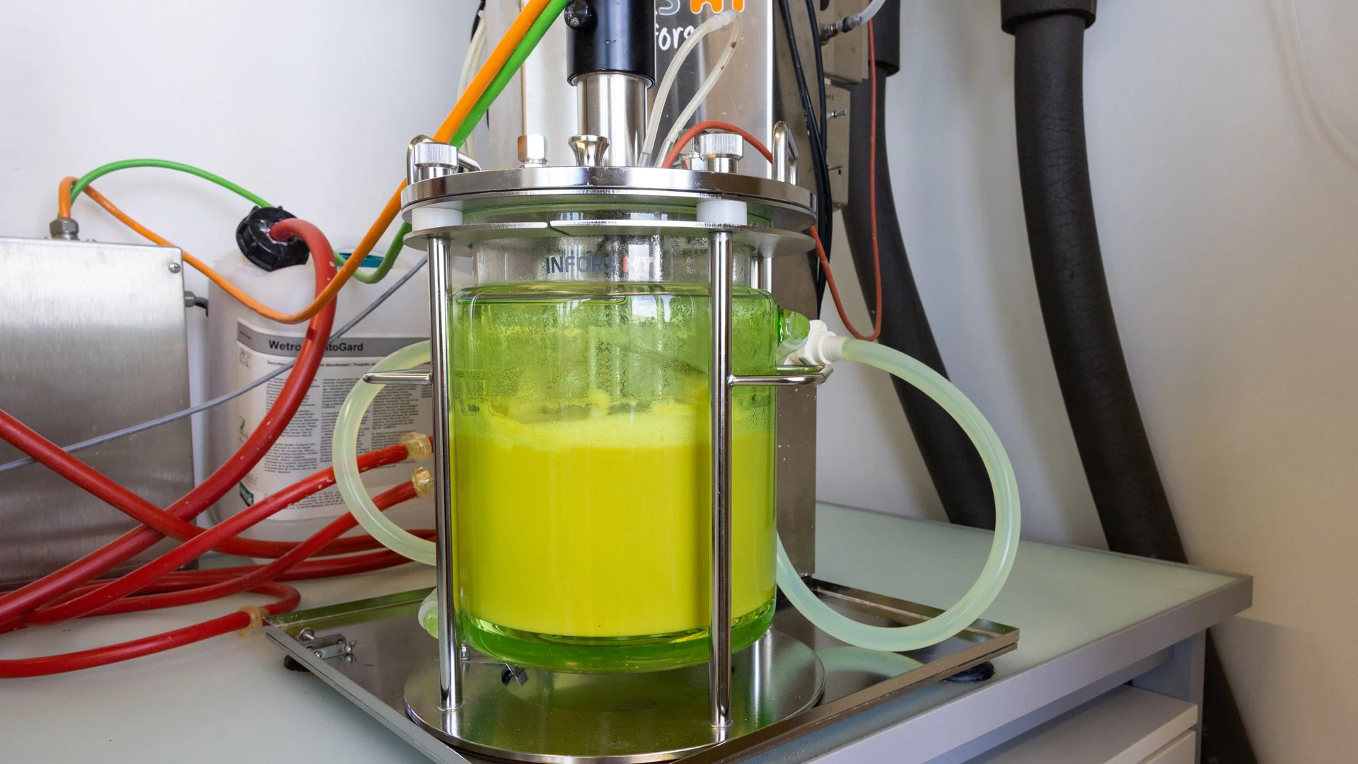 Planted conducts research in the field of fermentation