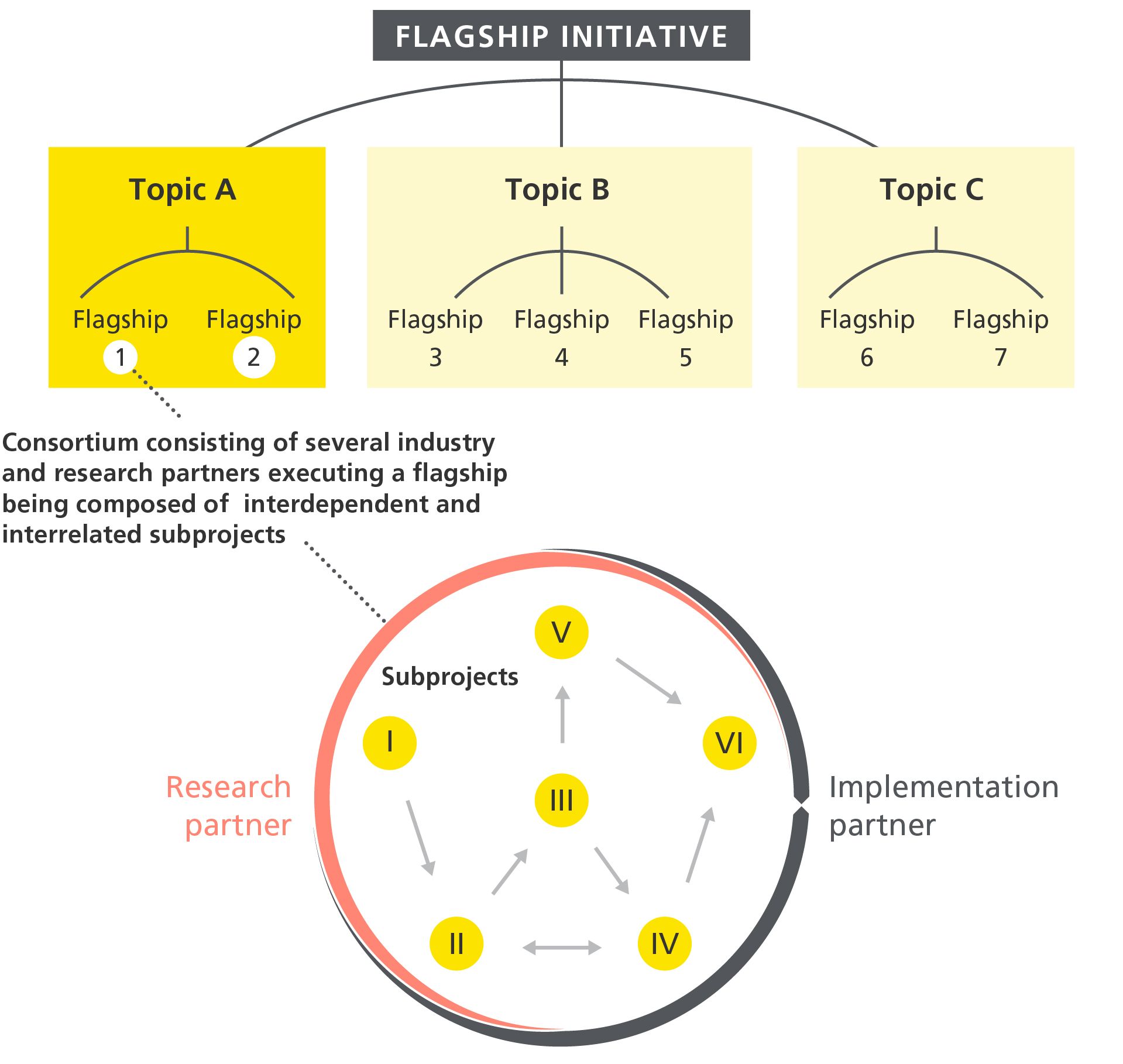 How the Flagship Initiative works in pictures