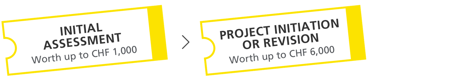 The mentoring process consists of two stages: Initial assessment followed by Project initiation or revision.