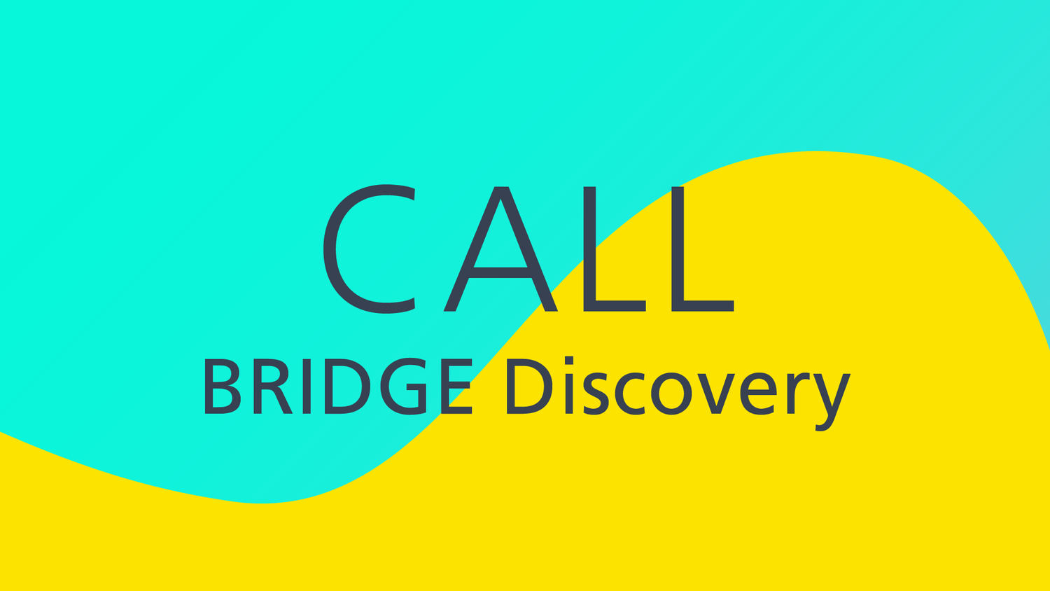 BRIDGE Discovery call for projects