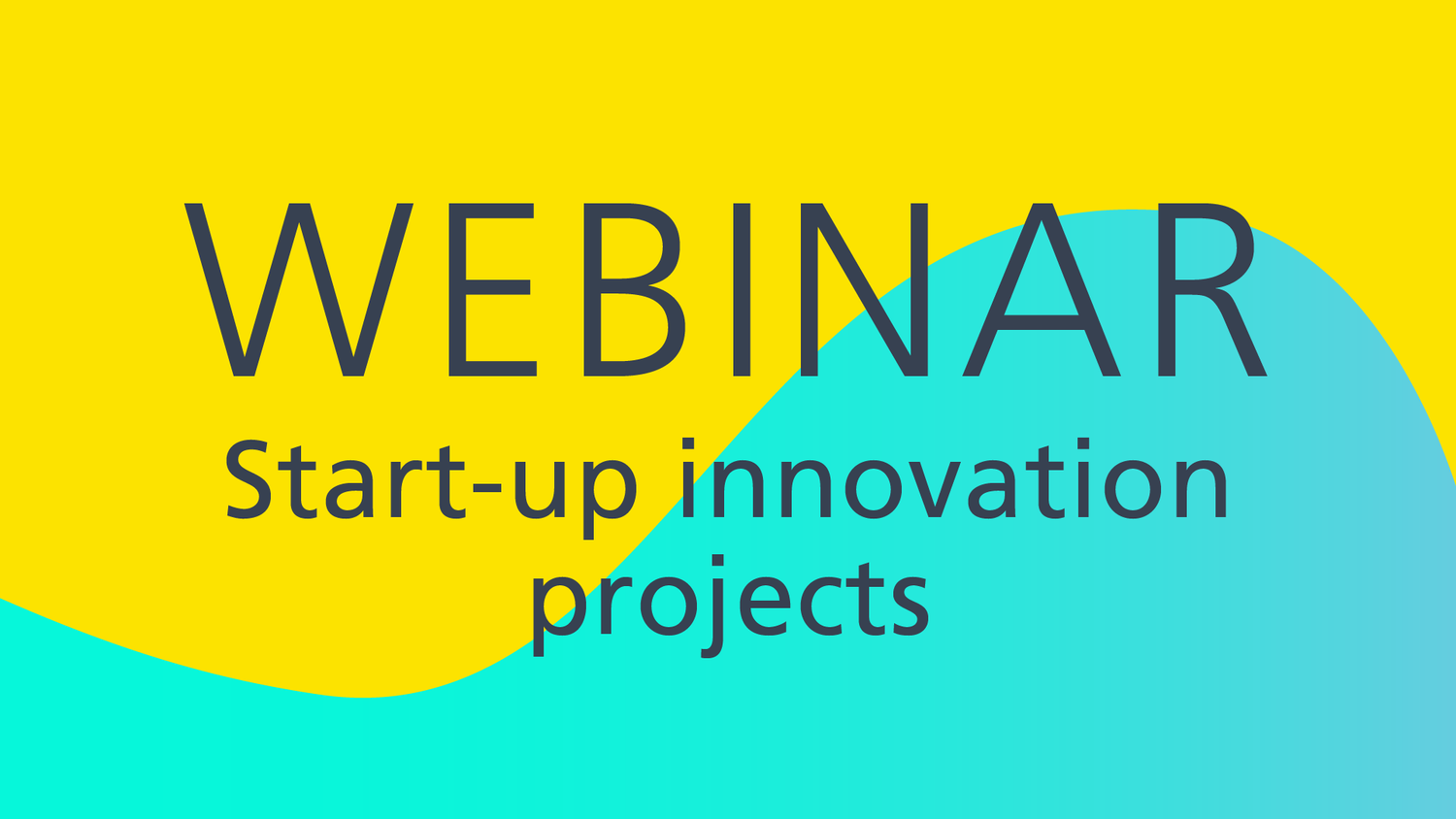 Webinar about the Start-up innovation projects 