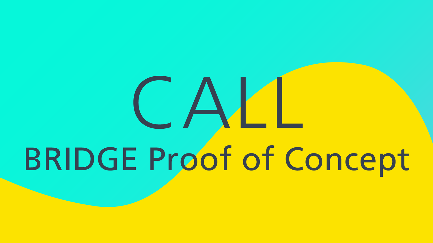 BRIDGE Proof of Concept call for projects