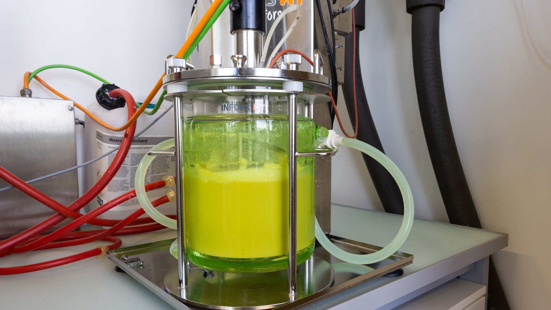 Planted mène des recherches dans le domaine de la fermentation