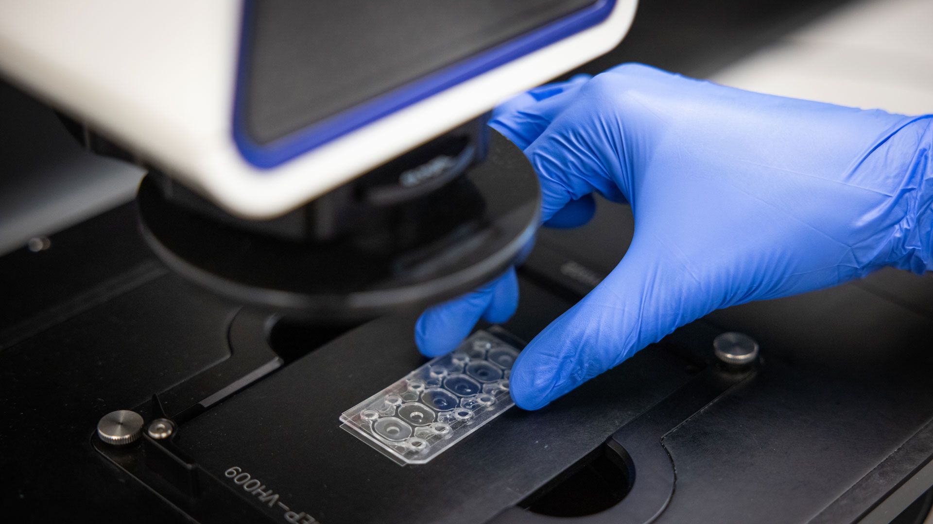 La technologie développée par Alveolix est un organe-sur-puce (organ-on-chip) qui reproduit à petite échelle le fonctionnement du poumon.