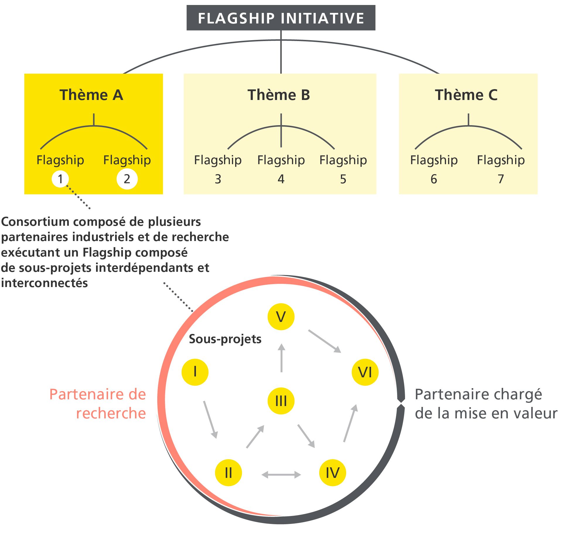Le fonctionnement de l’Initiative Flagship en images