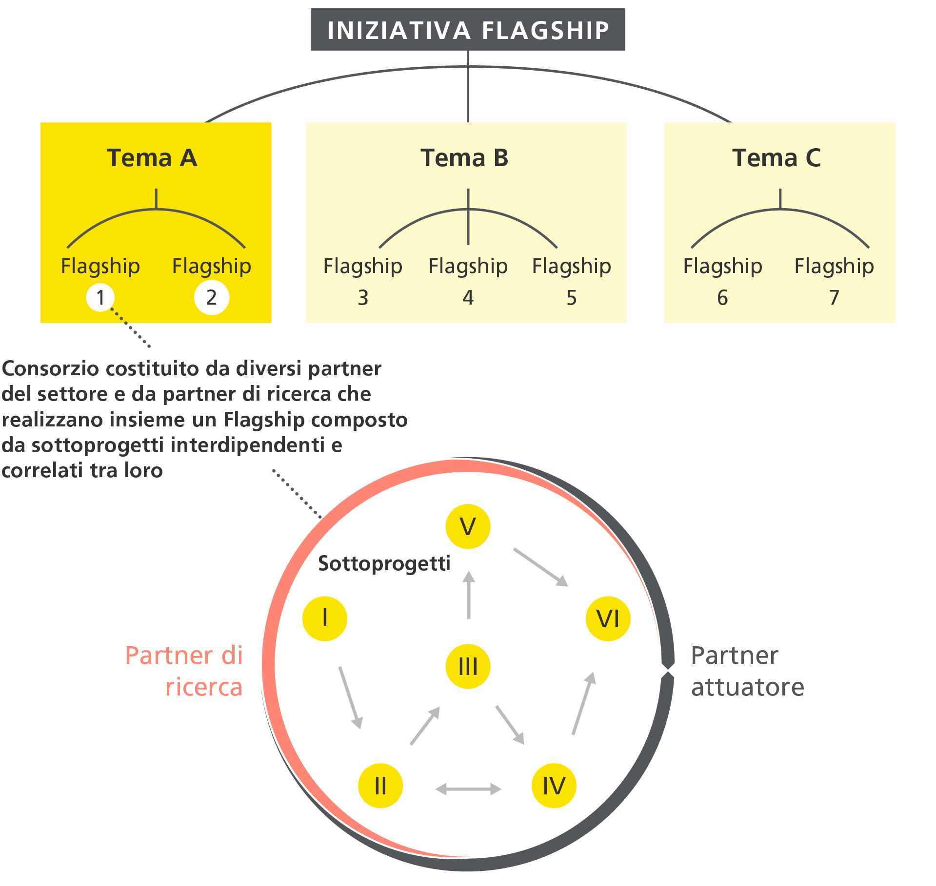 Come funziona l’Iniziativa Flagship nelle immagini