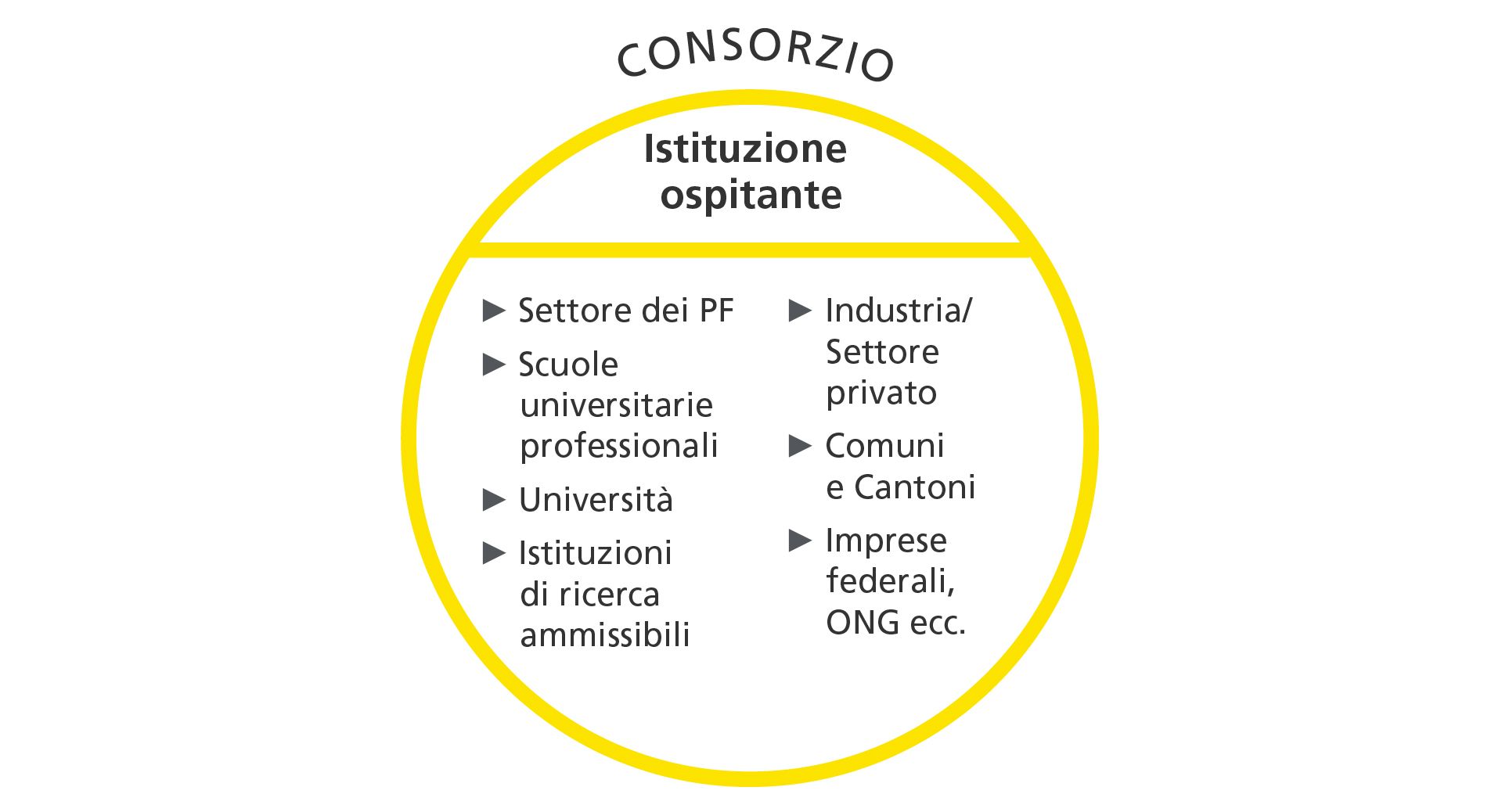 Struttura di un consorzio che esegue un progetto Flagship