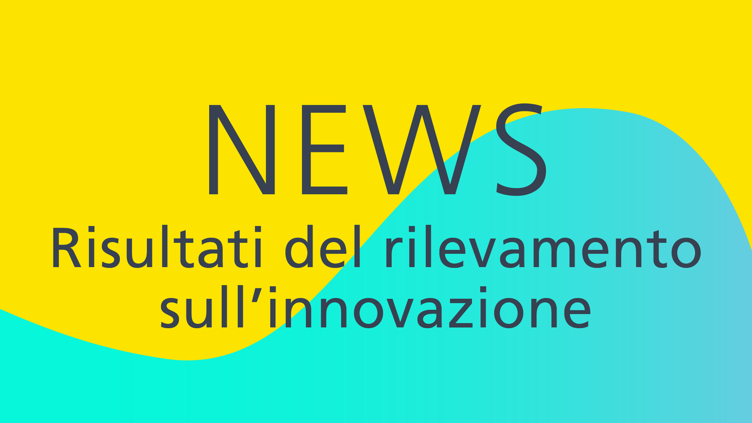 Risultati del rilevamento sull’innovazione 