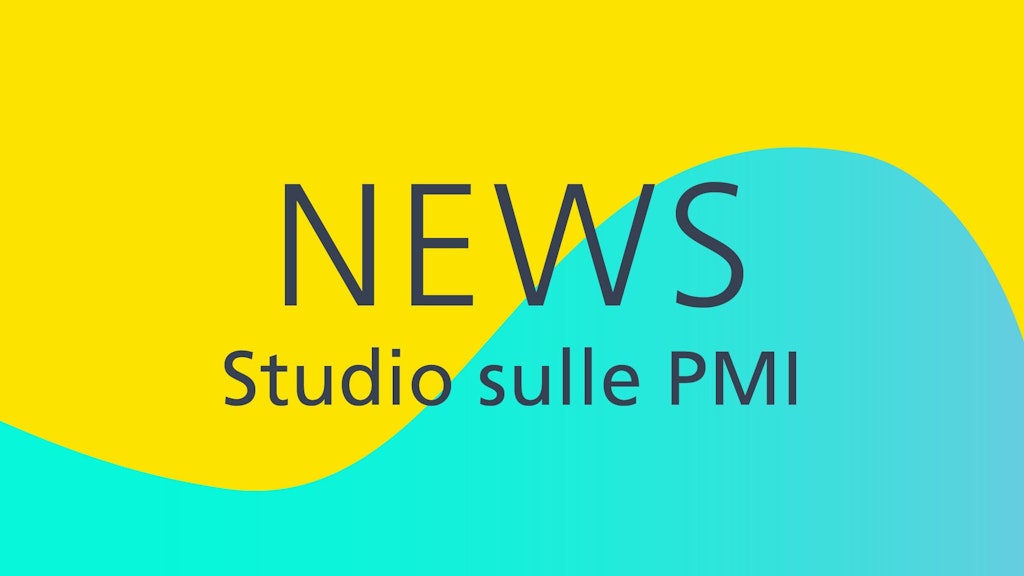 Studio sulle PMI